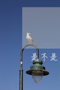 是不是只要有逾期就会上征信 是不是只要有逾期就会上征信