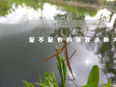 是不是有的货款逾期才上征信 是不是有的货款逾期才上征信