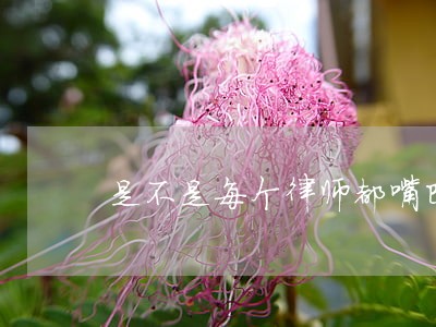 是不是每个律师都嘴巴这么厉害 是不是每个律师都嘴巴这么厉害