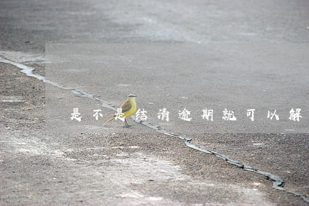是不是结清逾期就可以解冻了 是不是结清逾期就可以解冻了