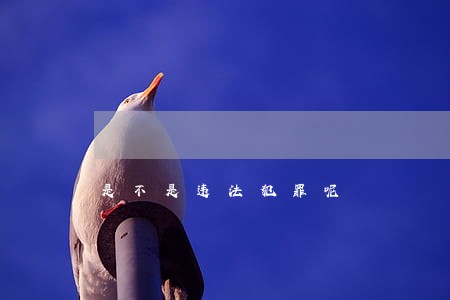 是不是违法犯罪呢 是不是违法犯罪呢