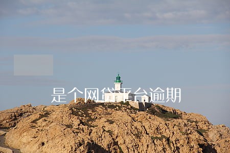 是个网贷平台逾期 是个网贷平台逾期