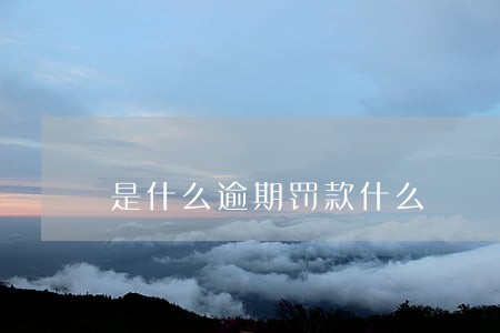 是什么逾期罚款什么 是什么逾期罚款什么
