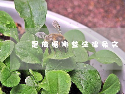 是依据哪些法律条文 是依据哪些法律条文