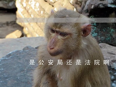 是公安局还是法院啊