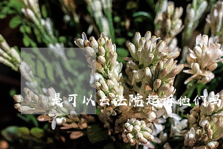 是可以去法院起诉他们吗 是可以去法院起诉他们吗