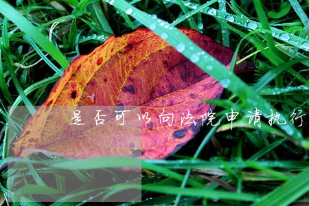 是否可以向法院申请执行 是否可以向法院申请执行