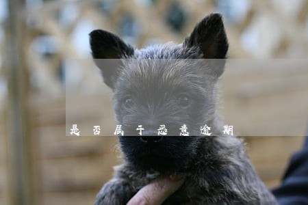 是否属于恶意逾期 是否属于恶意逾期