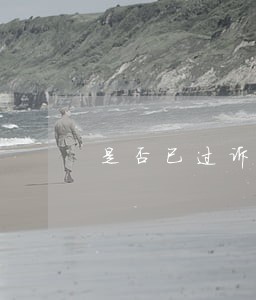 是否已过诉讼期 是否已过诉讼期