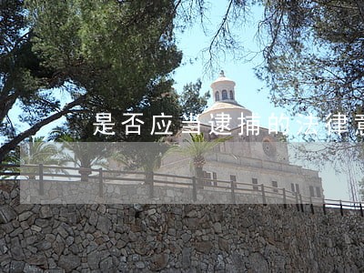 是否应当逮捕的法律意见书 是否应当逮捕的法律意见书