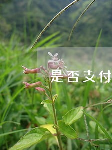 是否支付逾期竣工的违约金