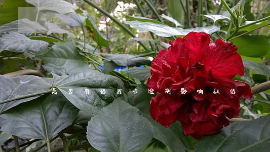 是否有信用卡逾期影响征信 是否有信用卡逾期影响征信