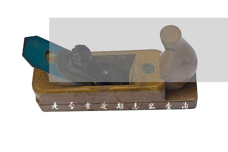 是否有逾期怎么查询 是否有逾期怎么查询