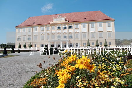 是否正常申报逾期未缴纳 是否正常申报逾期未缴纳