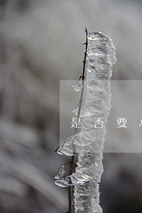 是否要承担一定的法律责任 是否要承担一定的法律责任