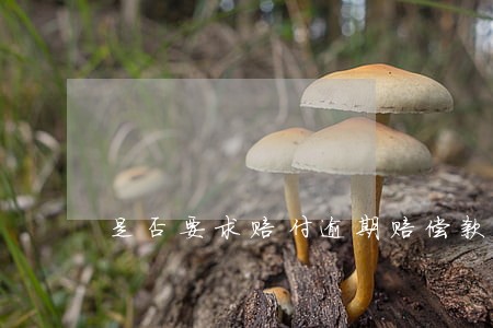 是否要求赔付逾期赔偿款 是否要求赔付逾期赔偿款