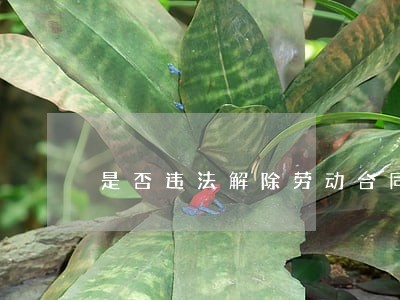 是否违法解除劳动合同代理词 是否违法解除劳动合同代理词