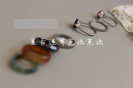 是否违背宪法宪法 是否违背宪法宪法