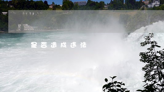 是否造成违法 是否造成违法
