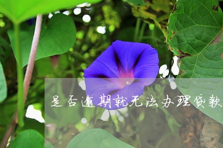 是否逾期就无法办理贷款 是否逾期就无法办理贷款