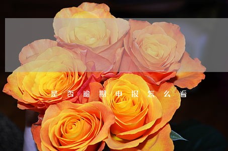 是否逾期申报怎么看 是否逾期申报怎么看