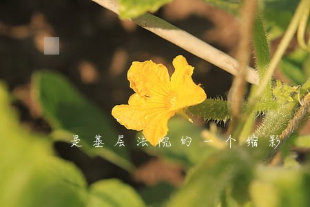 是基层法院的一个缩影 是基层法院的一个缩影