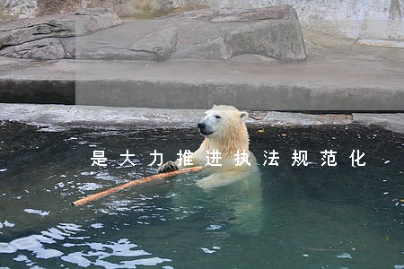 是大力推进执法规范化 是大力推进执法规范化