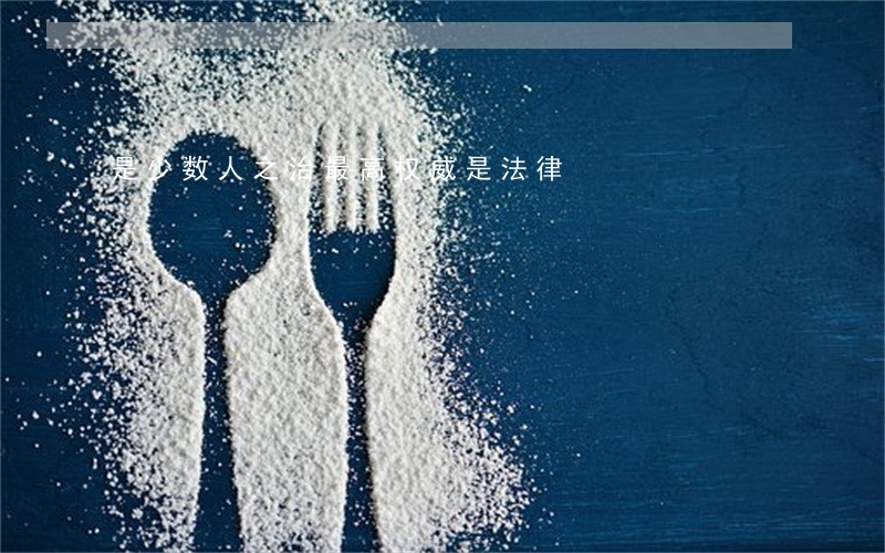 是少数人之治最高权威是法律 是少数人之治最高权威是法律