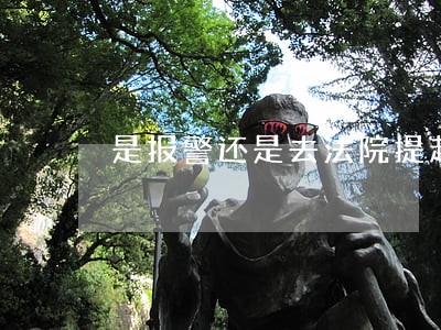 是报警还是去法院提起诉讼 是报警还是去法院提起诉讼