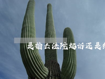 是指去法院起诉还是结案 是指去法院起诉还是结案