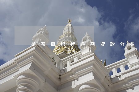 是某商银行逾期贷款分类 是某商银行逾期贷款分类