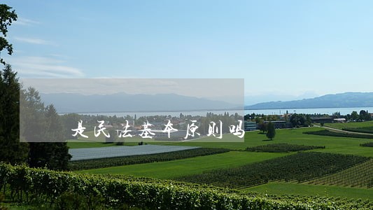 是民法基本原则吗 是民法基本原则吗
