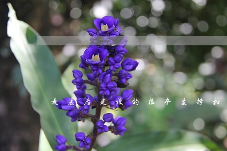是法治建设的根本支撑和保障 是法治建设的根本支撑和保障