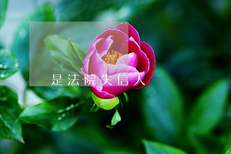 是法院失信人 是法院失信人