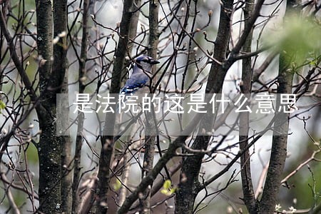 是法院的这是什么意思 是法院的这是什么意思