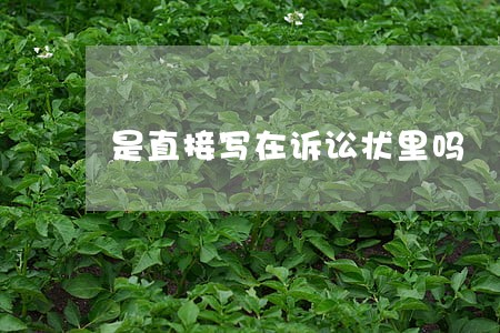 是直接写在诉讼状里吗 是直接写在诉讼状里吗