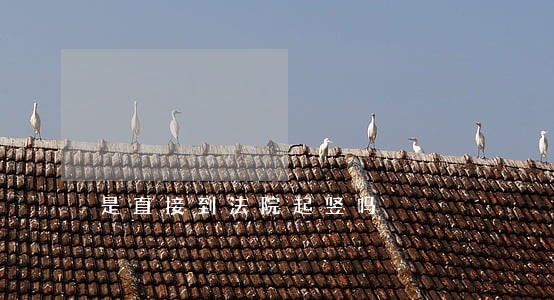是直接到法院起竖吗 是直接到法院起竖吗