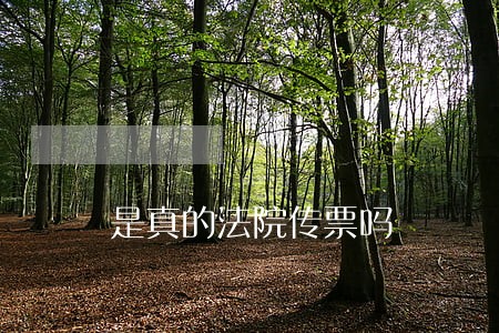 是真的法院传票吗