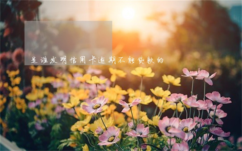 是谁发明信用卡逾期不能贷款的