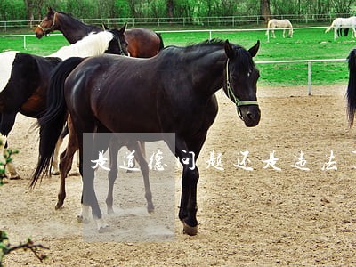 是道德问题还是违法了 是道德问题还是违法了