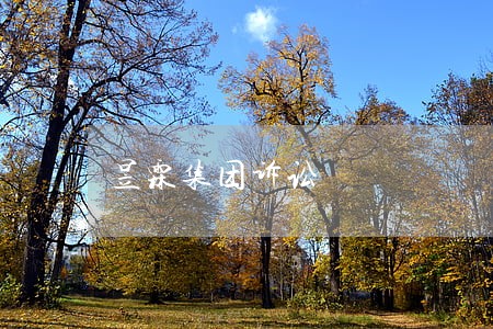 昱霖集团诉讼 昱霖集团诉讼