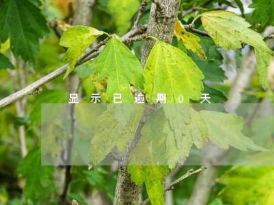 显示已逾期0天 显示已逾期0天