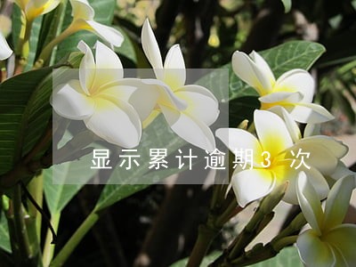 显示累计逾期3次 显示累计逾期3次