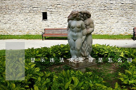 显示违法未处理是怎么回事 显示违法未处理是怎么回事