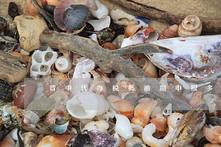 晋中代办税务逾期申报多少钱 晋中代办税务逾期申报多少钱