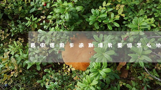 晋中信用卡逾期债务重组怎么协商 晋中信用卡逾期债务重组怎么协商
