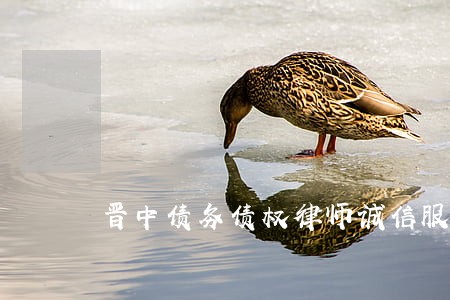 晋中债务债权律师诚信服务 晋中债务债权律师诚信服务