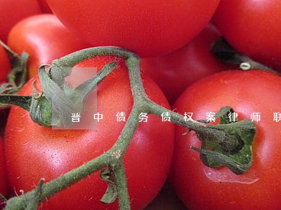 晋中债务债权案律师联系方式 晋中债务债权案律师联系方式