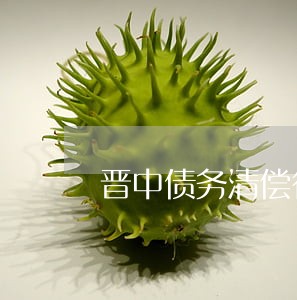 晋中债务清偿律师价位 晋中债务清偿律师价位