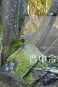 晋中合同纠纷律师 晋中合同纠纷律师